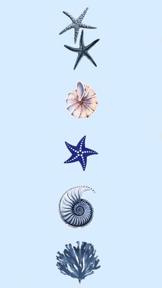 four starfishs and two sea stars on a blue background