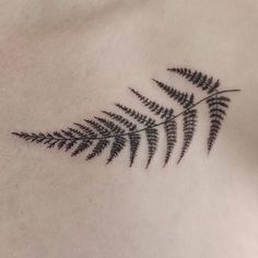 a black fern leaf tattoo on the back of a woman's upper arm and chest