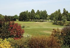 a golf course surrounded by trees and shrubs