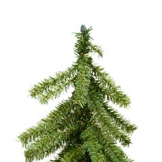 a small green christmas tree on a white background