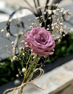 a pink rose in a vase with baby's breath