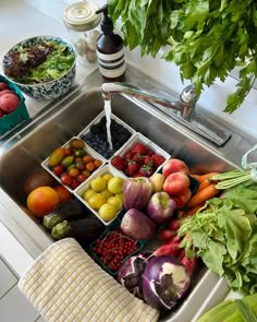 a sink filled with lots of fresh fruits and vegetables