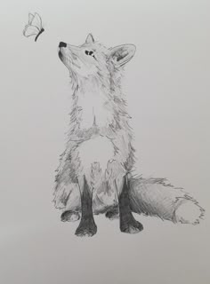 a drawing of a fox and a butterfly