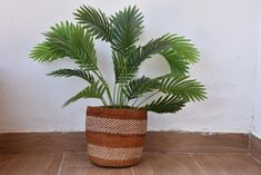 a potted plant sitting on top of a wooden floor next to a white wall