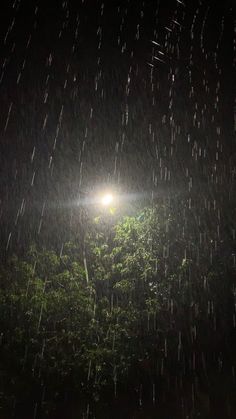 the light shines brightly in the dark, with rain coming down on trees and leaves