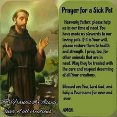 Purina Dog Food, Sick Puppies, Homemade Goodies, Sick Dog, Good Prayers, Francis Of Assisi