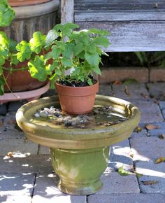 a potted plant sitting on top of a fountain