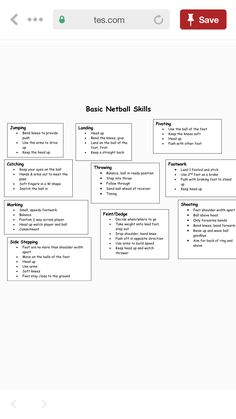 a screenshot of the basic netbook skills page, with text and images on it