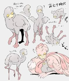 some drawings of birds with different facial expressions and body shapes, including an ostrich's head