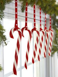 some candy canes hanging from a window sill in front of a christmas tree