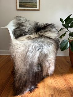 a white chair with grey fur on it next to a potted plant and painting