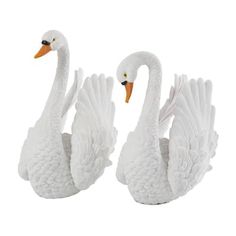 two white swans standing next to each other on a white background, one is facing the opposite direction