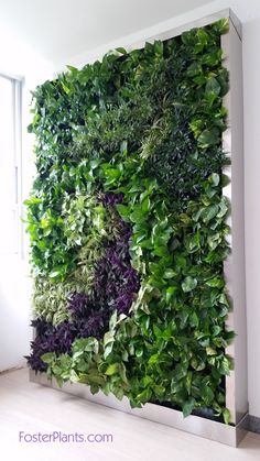 a living wall with green plants on it