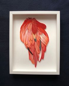 an orange and red bird in a white frame on a black surface with blue background