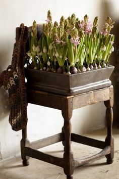 an old wooden bench with flowers in it