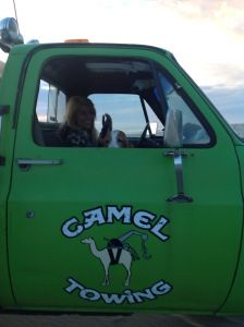 a green truck with the name camel towing company on it's side and a dog sitting in the driver's seat