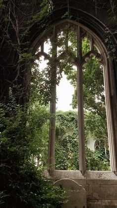 an arched window with ivy growing on it's sides and trees in the background