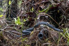 an old pipe laying on the ground surrounded by grass