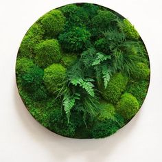 a plate covered in green moss and plants next to a fork, knife and spoon