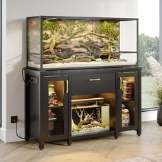 a fish tank sitting on top of a black cabinet