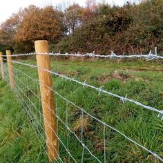 a fence with barbed wire in the grass