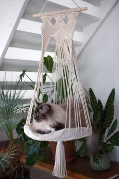 a cat is laying in a hammock hanging from the ceiling next to potted plants