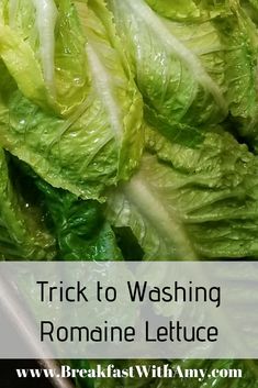 lettuce with the words trick to washing romaine lettuce on it