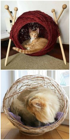 a cat is laying in a ball of yarn