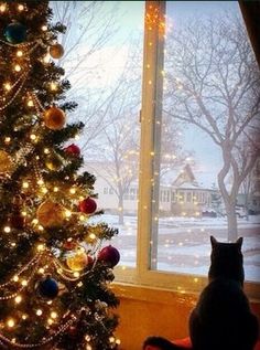 a cat sitting in front of a christmas tree looking out the window at the snow outside