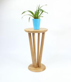 a wooden table with a potted plant sitting on it's top, against a white background