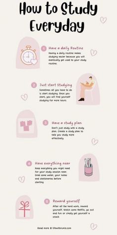 a pink poster with the words how to study everyday on it's back cover