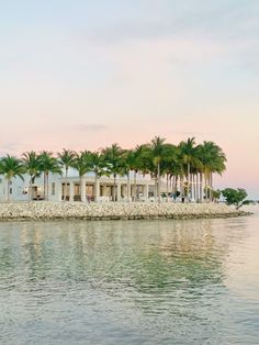 palm trees line the shoreline of a tropical island