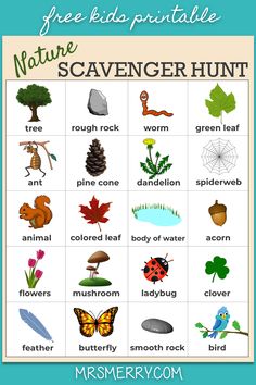 the nature scavenger hunt with pictures of different animals, plants and insects on it