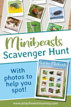 a poster for the minibeasts scavenger hunt with photos to help you spot