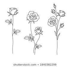 One Line Drawing Garden Rose Leaves Stock Vector (Royalty Free) 1840382299 | Shutterstock | Flower tattoo by  Alexandro Bayer Two Roses Drawing, Rose Line Drawing Tattoo, Roses Line Drawing, Minimalist Rose Drawing, Two Rose Tattoo, Rose With Leaves Tattoo, Line Work Rose Tattoo, Roses Tattoo Drawing, Two Roses Tattoo Design