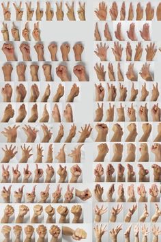 many different images of hands and feet with multiple gestures on each hand, all showing the same