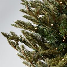 a close up of a christmas tree with lights on it's branches and green needles