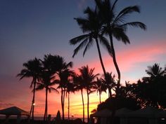 palm trees are silhouetted against the setting sun on a tropical beach with umbrellas and lounge chairs