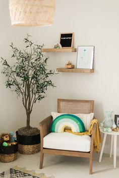 a living room with a tree, chair and pictures on the wall above it is also a potted plant