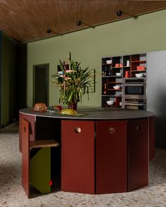 a kitchen with a potted plant on top of the island in front of it