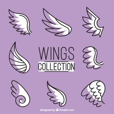 wings collection in white and purple colors on a purple background with the words wings written below