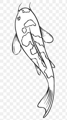 a black and white drawing of a koi fish on transparent background, hd png