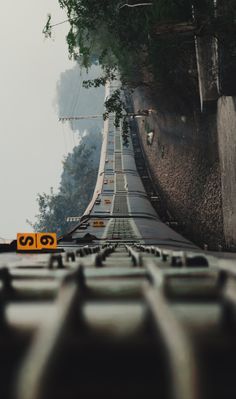 a long road with trees on both sides and a yellow sign that says go ahead