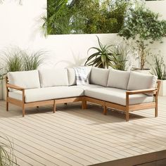 a couch sitting on top of a wooden floor next to a potted plant in front of a white wall