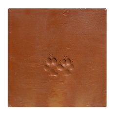 an animal's paw prints on the side of a brown leather surface with white background