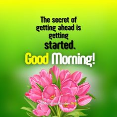 a bouquet of pink tulips with the words good morning on it and a green background