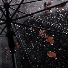 an umbrella with rain drops falling on the ground and leaves flying in the air above it