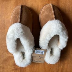 Dearfoam Women’s Fireside Slipper In Chesnut Size 10 Nwt Classic Indoor Slippers, Slippers, Size 10, Women Shoes, 10 Things, Women Shopping, Color