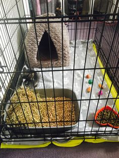 a caged in cat house with food and water bowls on the floor next to it