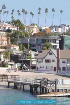 houses on the water with palm trees in the background and a pier leading to them